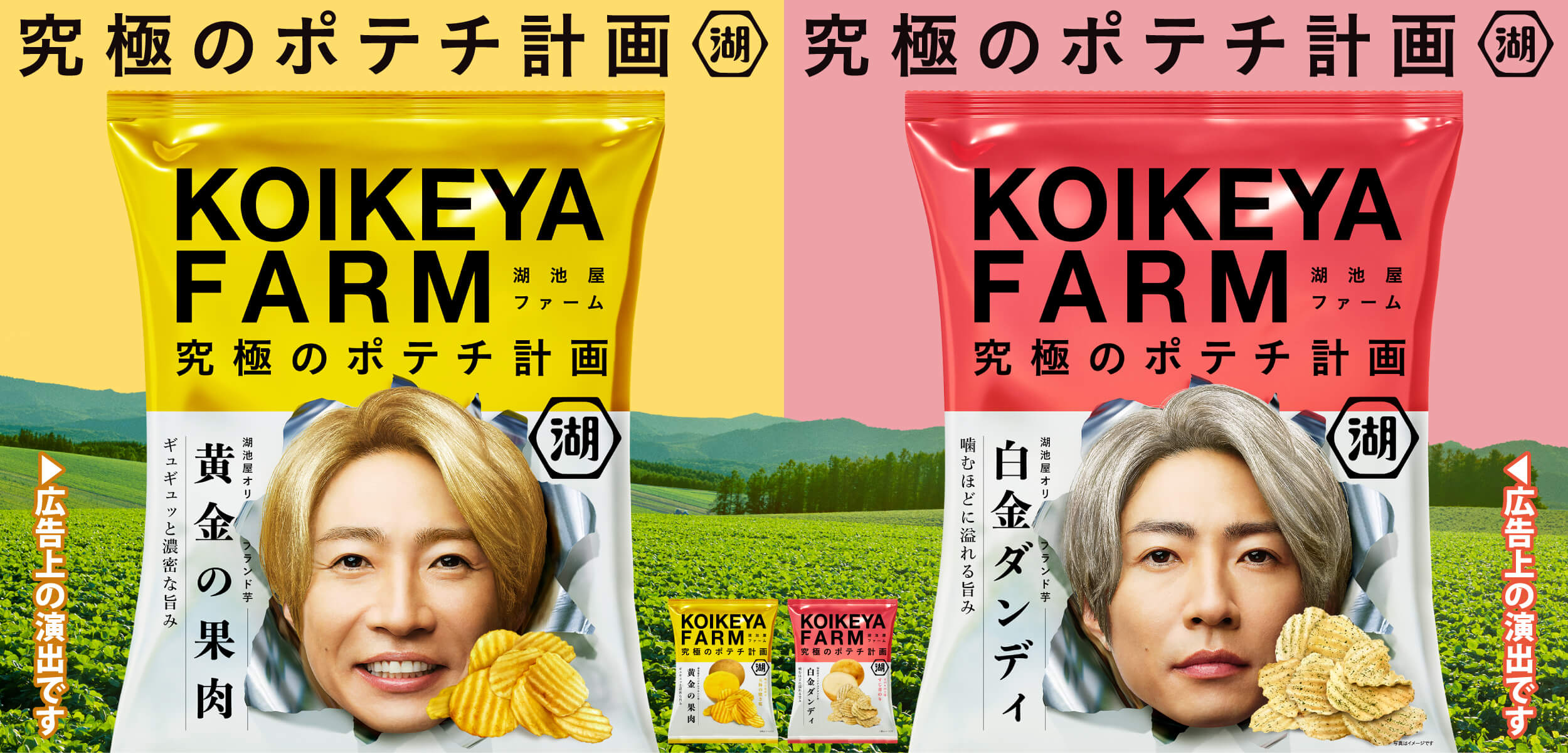 KOIKEYA FARM 芋からつくる究極のポテチ計画